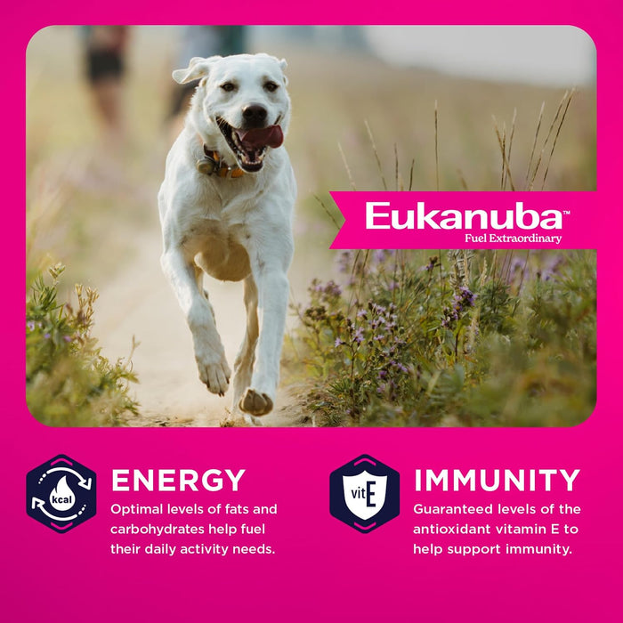 Eukanuba Adult Large Breed Lamb Dry Dog Food, 33-lb Bag
