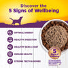 Wellness Complete Health Chicken & Sweet Potato Recipe Wet Dog Food