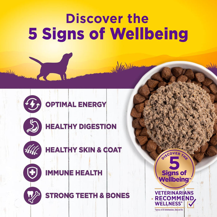 Wellness Complete Health Chicken & Sweet Potato Recipe Wet Dog Food