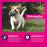 Eukanuba Adult Small Bites Chicken Dry Dog Food
