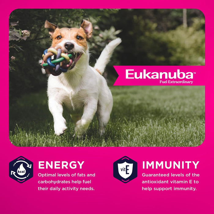 Eukanuba Adult Small Bites Chicken Dry Dog Food
