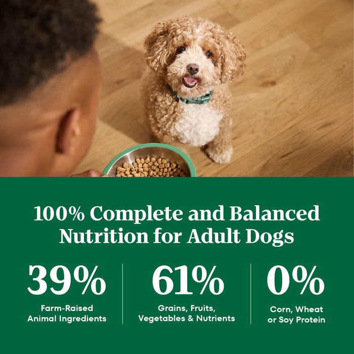 Nutro Natural Choice Adult Small Bites Lamb & Brown Rice Dry Dog Food