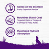Wellness Complete Health Sensitive Skin & Stomach Salmon & Rice Dry Dog Food