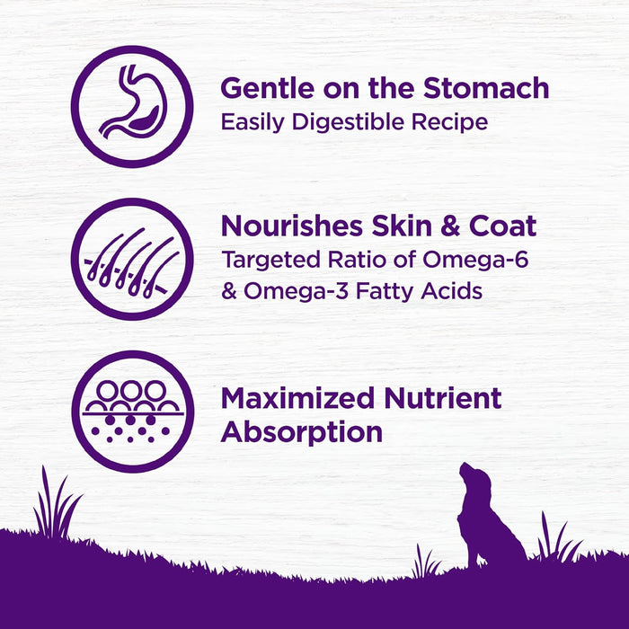 Wellness Complete Health Sensitive Skin & Stomach Salmon & Rice Dry Dog Food