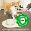 Greenies Smart Essentials Small Breed Adult High Protein Dry Dog Food Real Chicken & Rice Recipe.