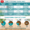 Chicken Soup for the Soul Kitten Recipe with Chicken, Brown Rice & Pea Dry Cat Food