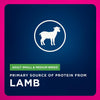 Eukanuba Adult Small & Medium Breed Lamb Meal Dry Dog Food