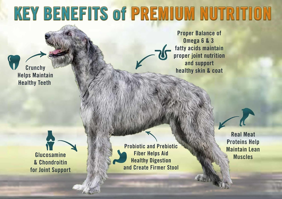 Chicken Soup for the Soul Large Breed Adult Recipe with Chicken, Turkey & Brown Rice Dry Dog Food