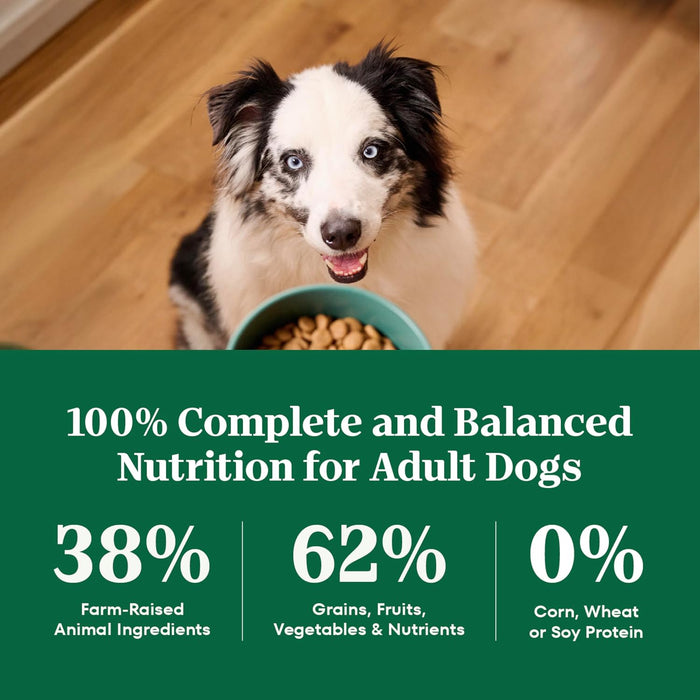 Nutro Natural Choice Adult Large Breed Chicken & Brown Rice Dry Dog Food