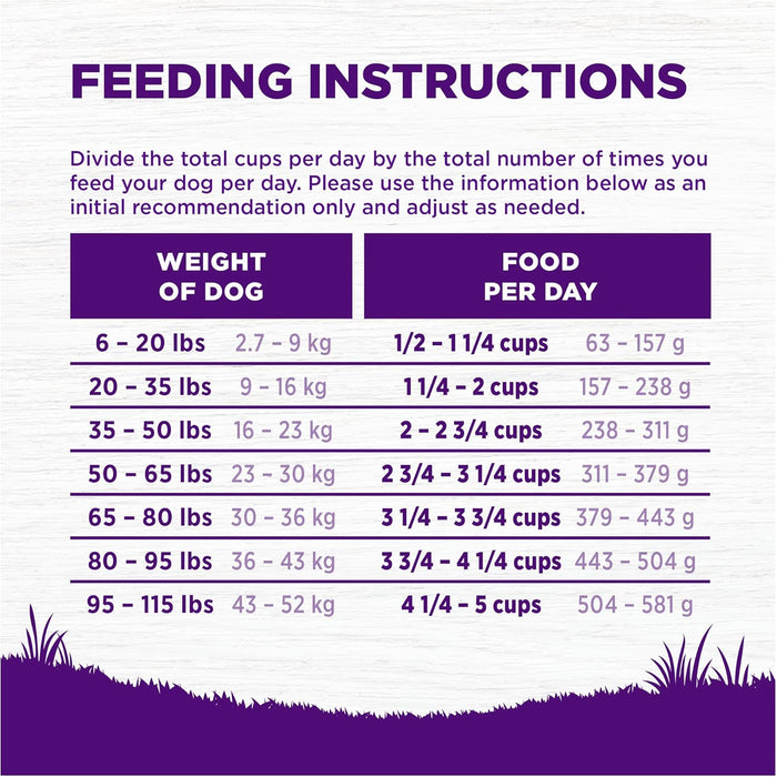 Wellness Complete Health Adult Dry Dog Food, Wholesome Grain Kibble, Natural, Lamb and Barley Recipe