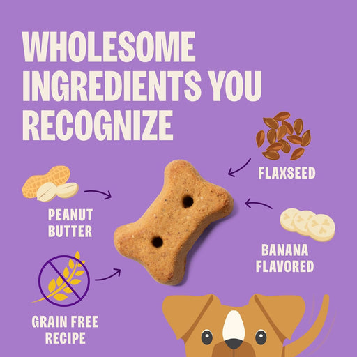 Old Mother Hubbard by Wellness Classic P-Nuttier 'N Nanners Grain-Free Mini Oven-Baked Biscuits Dog Treats