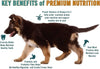 Chicken Soup for the Soul Large Breed Puppy Recipe with Chicken, Turkey & Brown Rice Dry Dog Food