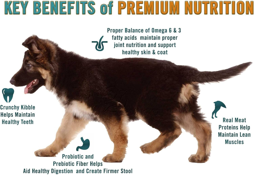 Chicken Soup for the Soul Large Breed Puppy Recipe with Chicken, Turkey & Brown Rice Dry Dog Food