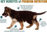 Chicken Soup for the Soul Large Breed Puppy Recipe with Chicken, Turkey & Brown Rice Dry Dog Food
