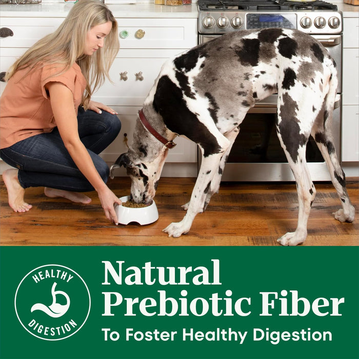 Nutro Natural Choice Adult Large Breed Chicken & Brown Rice Dry Dog Food