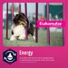 Eukanuba Fit Body Weight Control Medium Breed Dry Dog Food