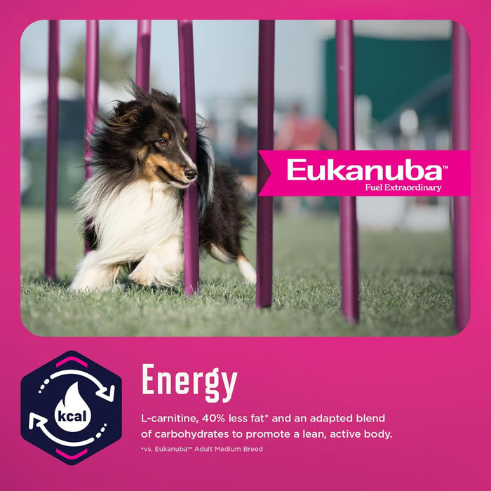 Eukanuba Fit Body Weight Control Medium Breed Dry Dog Food