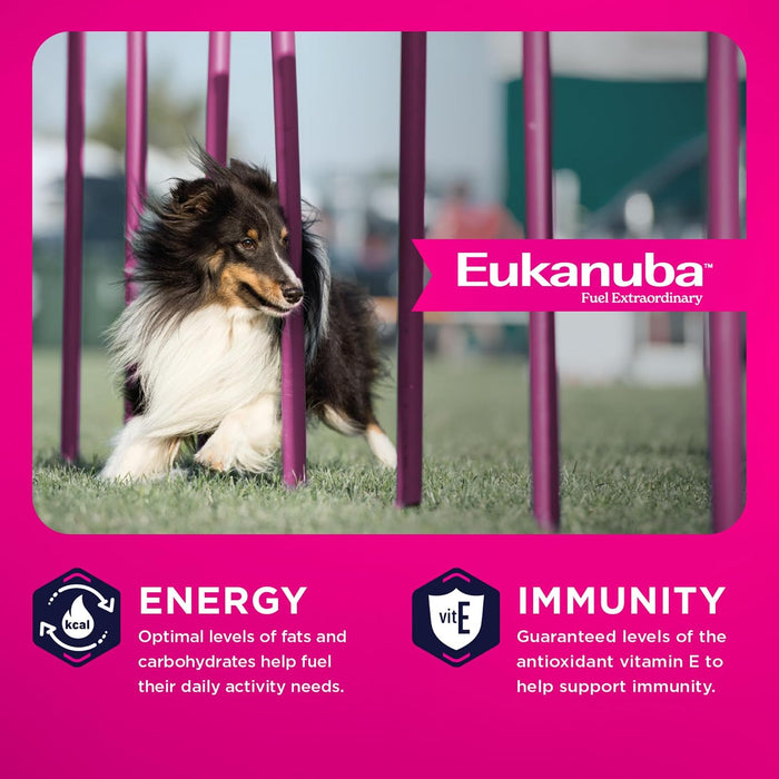 Eukanuba Adult Medium Breed Chicken Dry Dog Food