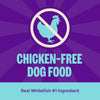 Wellness Complete Health Natural Adult Whitefish and Sweet Potato Recipe Dry Dog Food