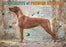 Chicken Soup for the Soul Grain Free Salmon & Sweet Potato Dry Dog Food