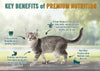 Chicken Soup for the Soul Kitten Recipe with Chicken, Brown Rice & Pea Dry Cat Food