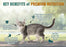 Chicken Soup for the Soul Kitten Recipe with Chicken, Brown Rice & Pea Dry Cat Food