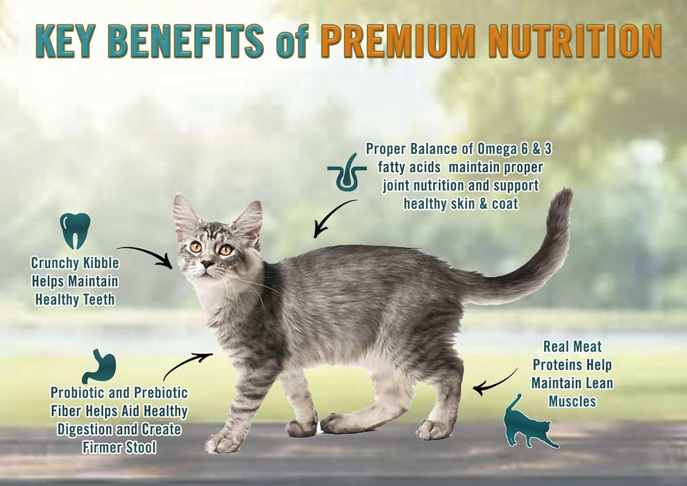 Chicken Soup for the Soul Kitten Recipe with Chicken, Brown Rice & Pea Dry Cat Food