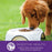 Wellness Complete Health Natural Small Breed Adult Turkey and Oatmeal Recipe Dry Dog Food