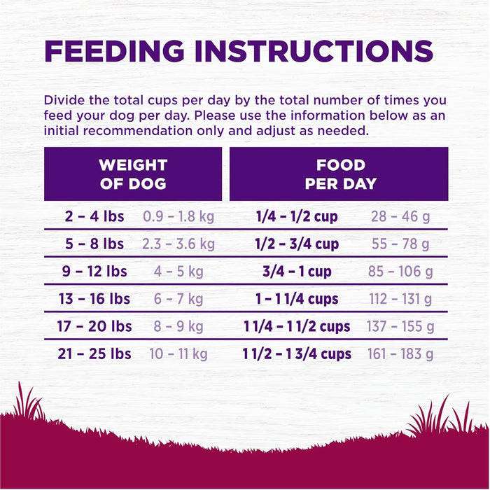 Wellness Complete Health Natural Small Breed Adult Turkey and Oatmeal Recipe Dry Dog Food