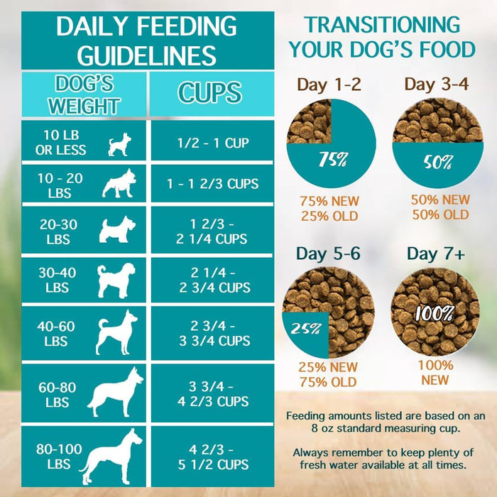 Chicken Soup for the Soul Chicken, Turkey & Brown Rice Adult Recipe Dry Dog Food