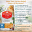 Chicken Soup for the Soul Adult Recipe with Chicken & Brown Rice Dry Cat Food