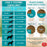 Chicken Soup for the Soul Large Breed Adult Recipe with Chicken, Turkey & Brown Rice Dry Dog Food