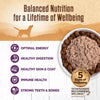 Wellness Natural Grain-Free 95% Chicken Recipe Adult Wet Dog Food