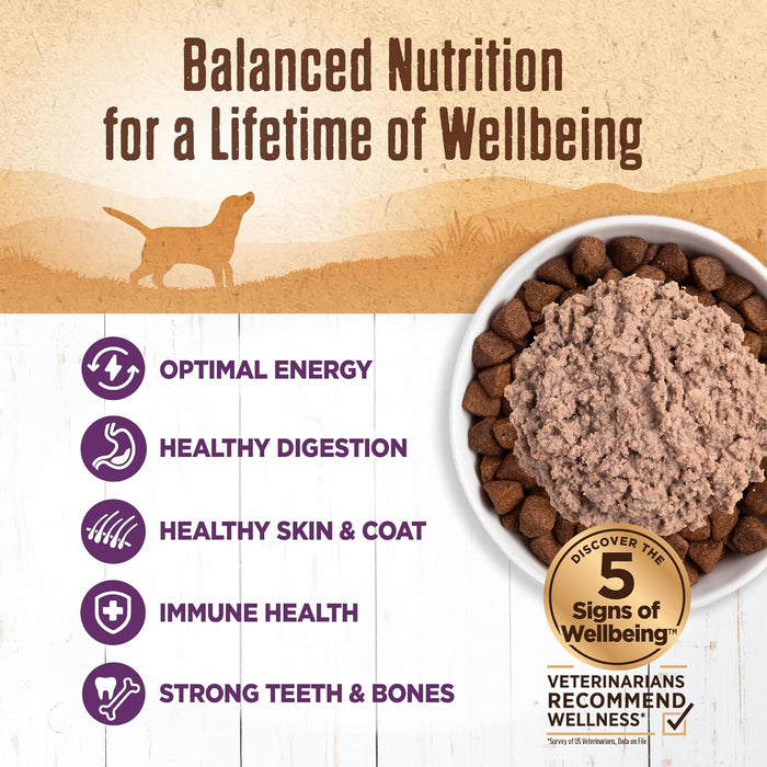 Wellness Natural Grain-Free 95% Chicken Recipe Adult Wet Dog Food