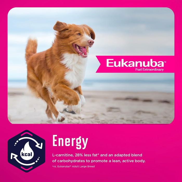 Eukanuba Fit Body Weight Control Large Breed Dry Dog Food, 33-lb Bag