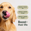 Instinct RawBoost Adult Grain-Free Real Chicken Dry Dog Food