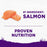 Wellness Complete Health Sensitive Skin & Stomach Salmon & Rice Dry Dog Food