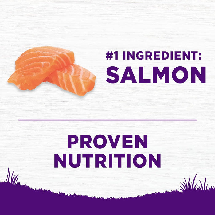 Wellness Complete Health Sensitive Skin & Stomach Salmon & Rice Dry Dog Food