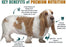 Chicken Soup for the Soul Weight Care Dry Dog Food