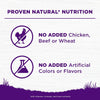 Wellness Complete Health Sensitive Skin & Stomach Salmon & Rice Dry Dog Food