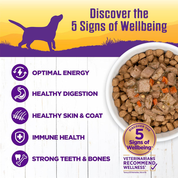 Wellness Natural Lamb & Beef Stew with Brown Rice & Apples Wet Dog Food