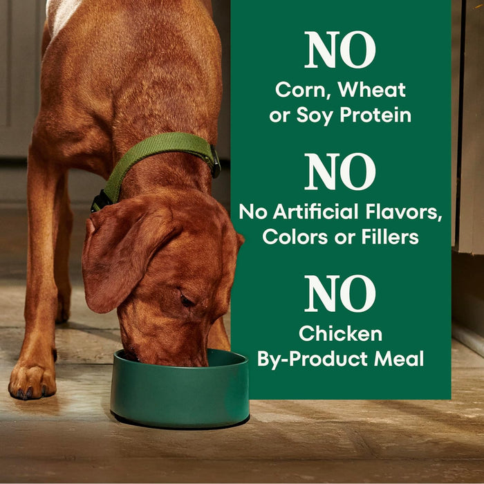 Nutro Wholesome Essentials Adult Chicken & Brown Rice Dry Dog Food