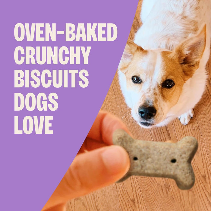Old Mother Hubbard by Wellness Classic Liv'R'Crunch Natural Mini Oven-Baked Biscuits Dog Treats