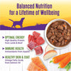 Wellness Natural Lamb & Beef Stew with Brown Rice & Apples Wet Dog Food