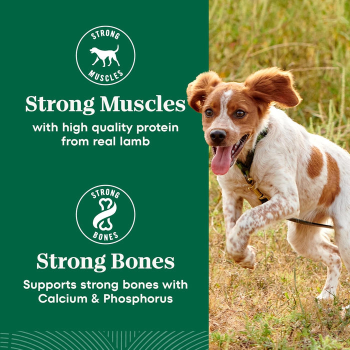 Nutro Natural Choice Adult Small Bites Lamb & Brown Rice Dry Dog Food