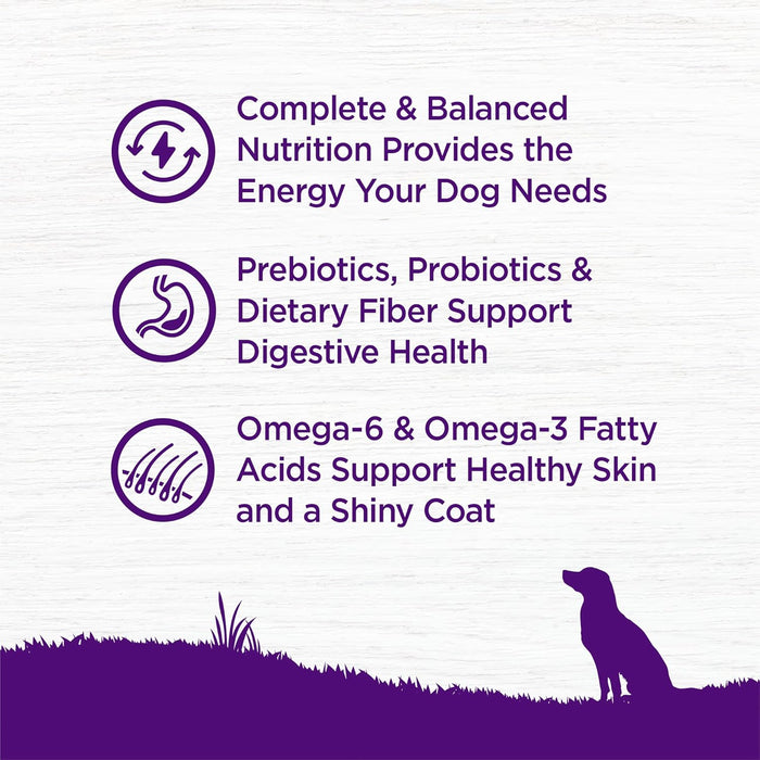 Wellness Complete Health Adult Dry Dog Food, Wholesome Grain Kibble, Natural, Lamb and Barley Recipe