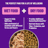 Wellness Complete Health Grain-Free Turkey Pâté Wet Cat Food
