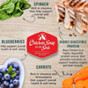 Chicken Soup for the Soul Adult Chicken, Brown Rice & Vegetables Cuts in Gravy Wet Dog Food