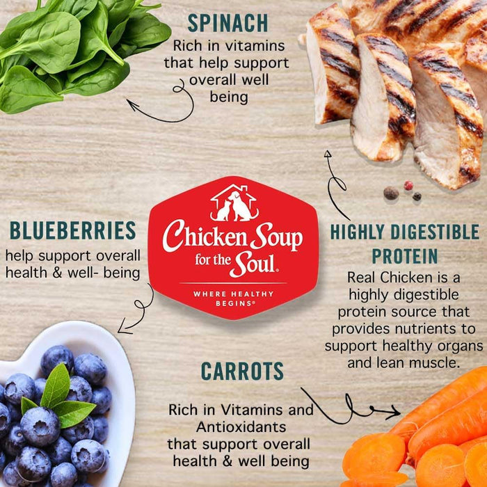 Chicken Soup for the Soul Adult Chicken, Brown Rice & Vegetables Cuts in Gravy Wet Dog Food