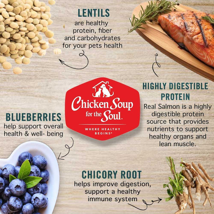 Chicken Soup for the Soul Grain Free Salmon & Sweet Potato Dry Dog Food